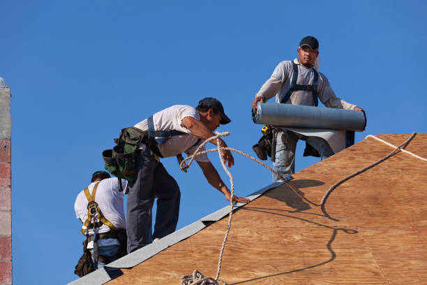 Best Metal Roofing Contractor  in Doylestown, OH