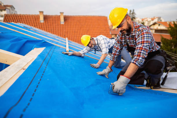 Best Roof Gutter Cleaning  in Doylestown, OH