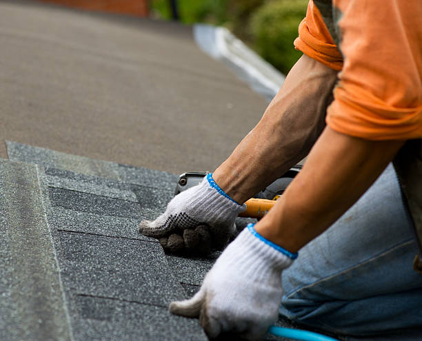 Best Roof Leak Repair  in Doylestown, OH